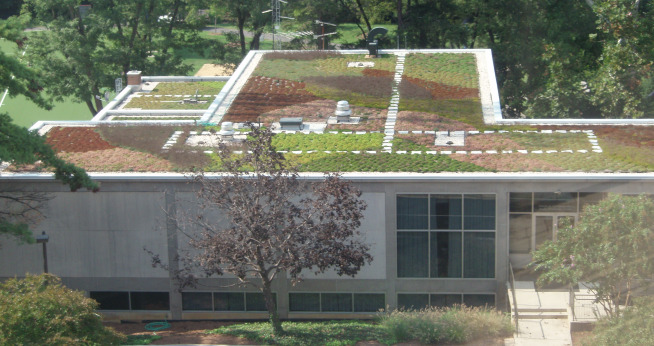 Green Roof